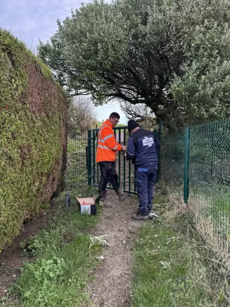 639583502-4002243476587386-4714215106891956517-n__